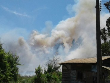 V Región en llamas: 6 comunas se encuentran con Alerta Roja por incendios forestales