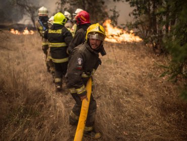 Sigue el Infierno en región de O'Higgins: 6 incendios consumen más de 60 mil hectáreas