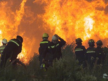 Presidenta Bachelet: "Enfrentamos el mayor desastre forestal de nuestra historia"