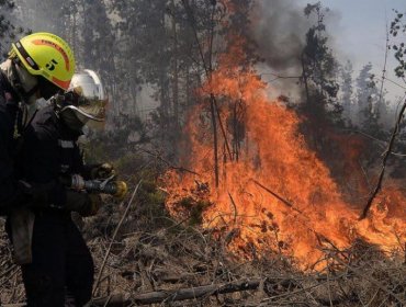 Conaf informa que se han controlado 76 incendios forestales