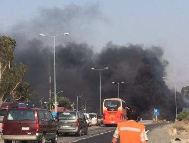 Camión se incendia en plena Ruta 68 y provoca propagación en pastizales