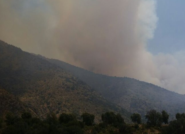 Onemi decreta Alerta Roja por incendio forestal en Cajón del Maipo