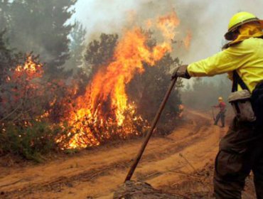 Último balance de Onemi: 32 incendios activos, 29 controlados y 4 extinguidos