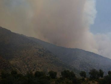 Onemi decreta Alerta Roja por incendio forestal en Cajón del Maipo