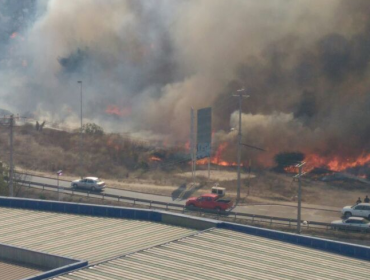 Incendio forestal se registra en el sector de Glorias Navales en Viña del Mar