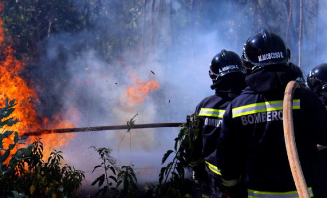 Último balance de Onemi: 36 incendios en combate y 30 incendios controlados