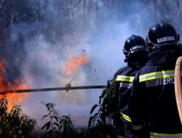 Último balance de Onemi: 36 incendios en combate y 30 incendios controlados