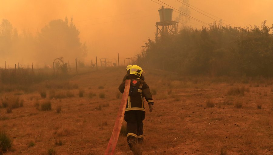 Bombero muere combatiendo incendio en Región del Maule