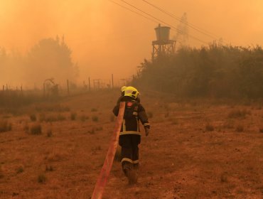 Bombero muere combatiendo incendio en Región del Maule