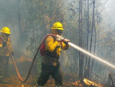 Un bombero muere y otro queda gravemente herido en Ñuble