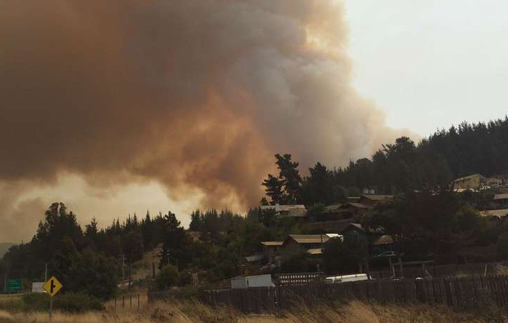 Posible evacuación genera Incendio forestal en Llico