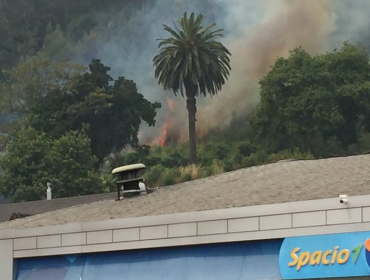 Incendio en sector Pedro de Valdivia en Concepción levanta las alarmas