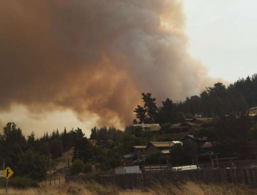 Posible evacuación genera Incendio forestal en Llico