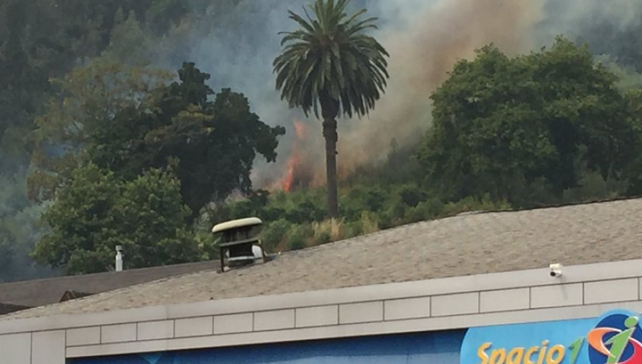 Incendio en sector Pedro de Valdivia en Concepción levanta las alarmas