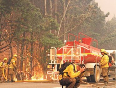 Decretan Alerta Roja en Valdivia: Dos focos de incendios forestales amenaza a viviendas