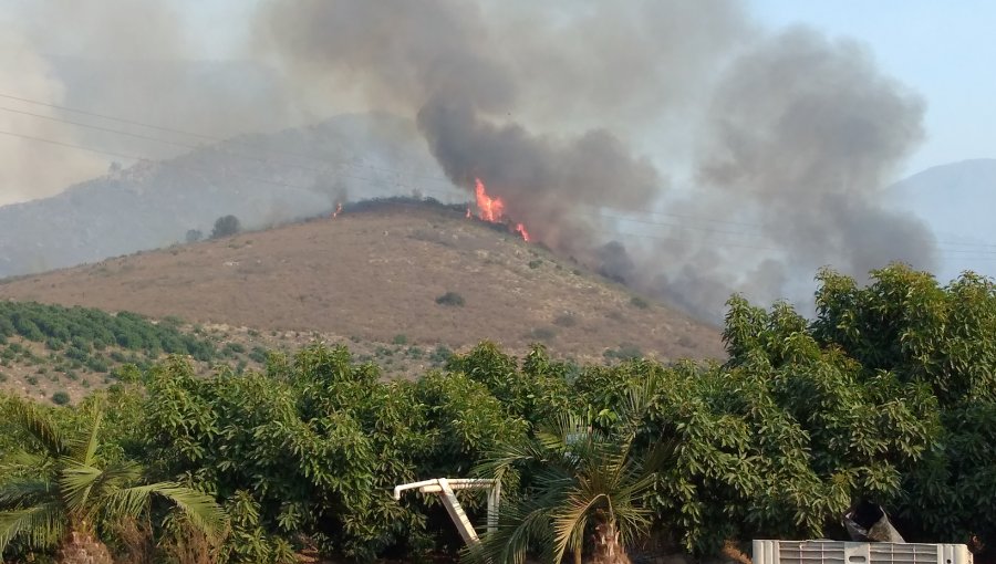 Gobernación de Quillota presentará querella criminal por incendios forestales