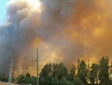 Evacuan localidad de San Nicolás tras magnitud de incendios