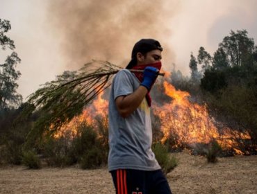 Por qué es tan difícil apagar los incendios que han destruido cientos de miles de hectáreas