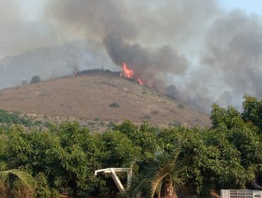 Gobernación de Quillota presentará querella criminal por incendios forestales