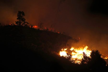 Incendios en Chile: Ya se han consumido 396 mil hectáreas