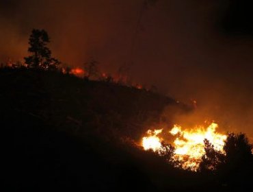 Incendios en Chile: Ya se han consumido 396 mil hectáreas