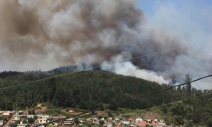 Incendio forestal enciende las alarmas en Dichato