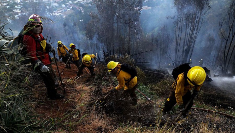 Brigadista de Conaf fue detenido acusado de generar incendios en Cauquenes