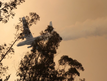 Avión ruso Ilyushin il-76 realizó exitosa descarga en comuna de Navidad