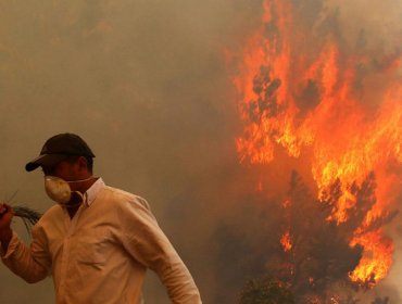 Último balance de Onemi: 50 incendios controlados y y 61 incendios en combate