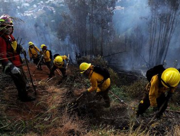 Brigadista de Conaf fue detenido acusado de generar incendios en Cauquenes