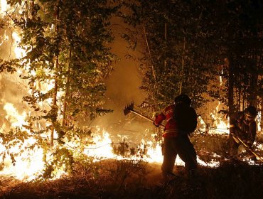 Último balance de Onemi: 83 incendios en combate y 1.103 viviendas han sido destruidas