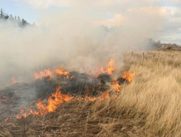 Propietarios de predios afectados por los incendios invocarán Ley Antiterrorista