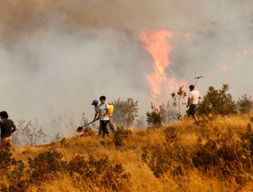 Emiratos Árabes Unidos realiza millonaria donación a Chile para combatir los incendios