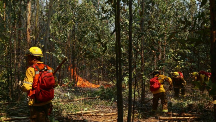 Último balance de Onemi: 1.550 viviendas destruidas y más de 6 mil damnificados