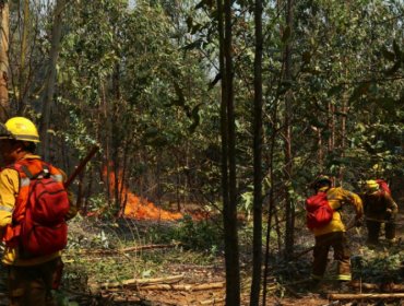 Último balance de Onemi: 1.550 viviendas destruidas y más de 6 mil damnificados