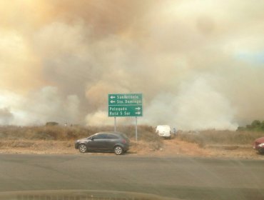 V Región nuevamente bajo el fuego: Santo Domingo, San Antonio y Quilpué en Alerta Roja