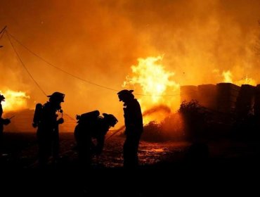 Incendios en Chile: Hectáreas arrasadas llegan a 588 mil