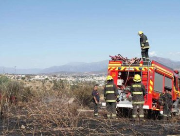 Último balance de Onemi: Ocho incendios en combate y más de siete mil damnificados