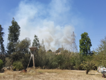 Incendios forestales levanta las alarmas en el sector del Belloto