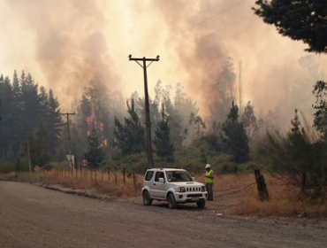 Incendio forestal enciende las alarmas en Hualqui