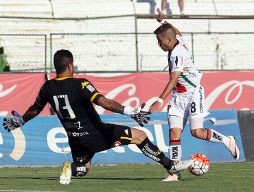 Palestino y Audax Italiano animan un nuevo clásico de colonias