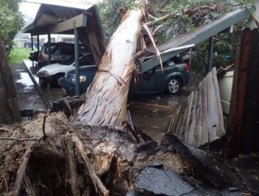 California azotada por la "bombogénesis", la tormenta más poderosa en años