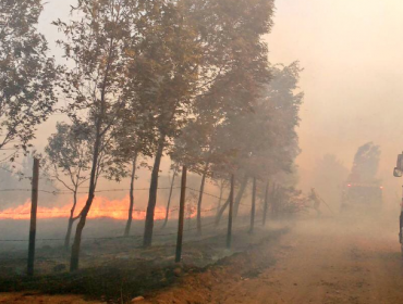 Onemi declara Alerta Roja por incendio forestal en Quillón