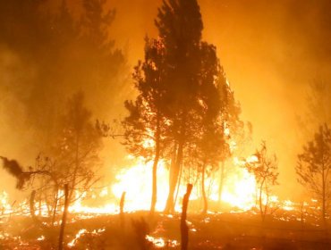 Incendio en Parral: Alcaldesa tilda de errónea la información y datos entregados por la Onemi