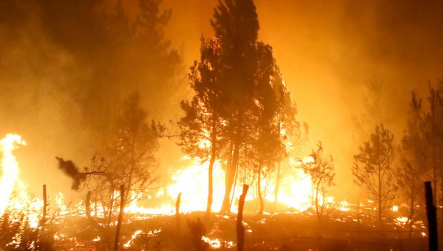 Incendio en Parral: Alcaldesa tilda de errónea la información y datos entregados por la Onemi