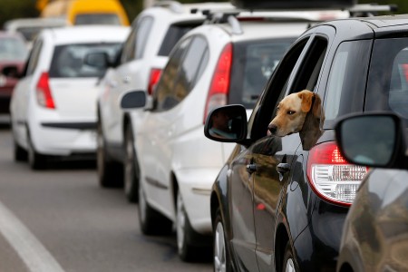 Permisos de Circulación: Ingresa aquí tu patente y conoce si tienes multas pendientes