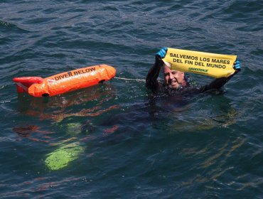 Solitario nadador sorprende en Bahía de Valparaíso: Fue a saludar al barco de Greenpace