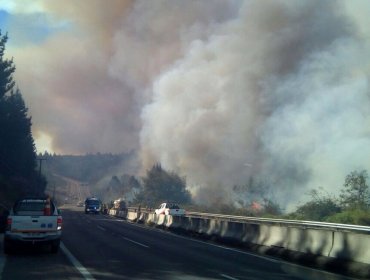 Impactante Video de Incendio en Ruta de Las Palmas en Viña del Mar