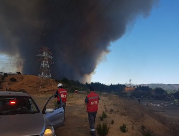 Incendio en Viña del Mar: Casas consumidas y cerca de 230 hectáreas arrasadas por el fuego