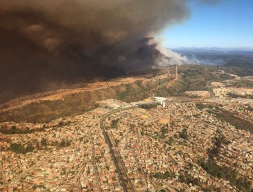 Evacuación masiva en Viña del Mar tras incendio forestal en Las Palmas